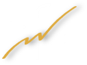 Life Institut AG Logo